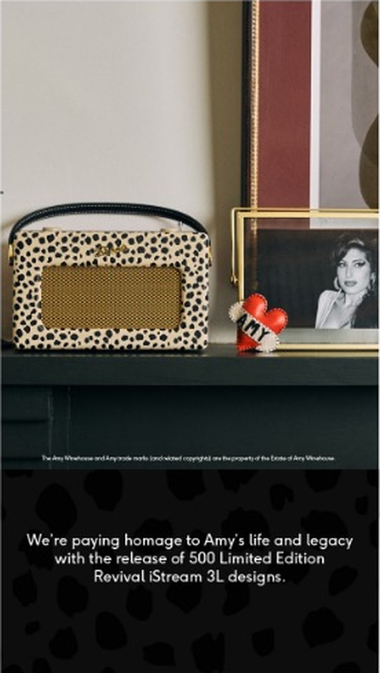 Social story frame two: Amy Winehouse collaboration
