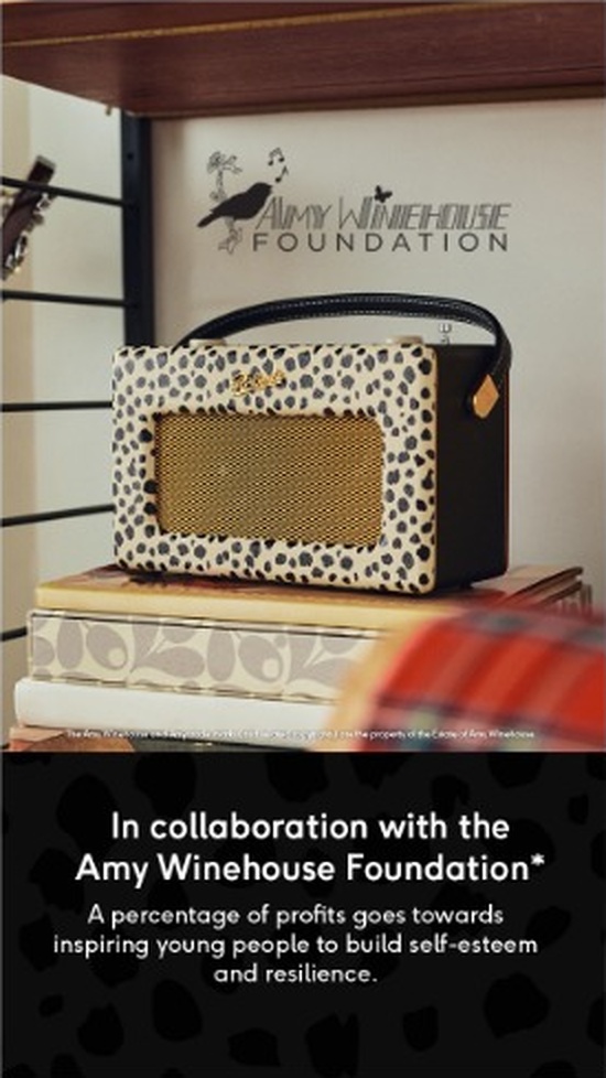 Social story frame three: Amy Winehouse Foundation
