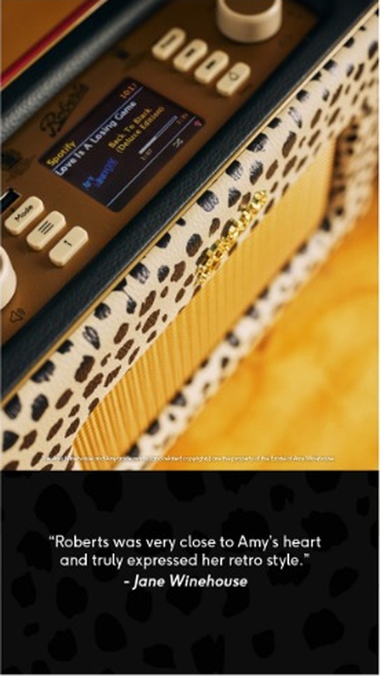 Social story frame five: product controls and finish